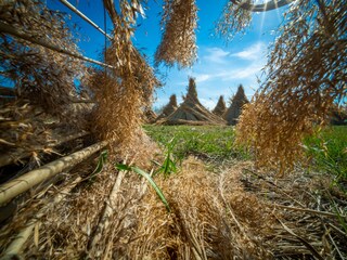 Appartamento per vacanze Mörbisch am See Ambiente 32