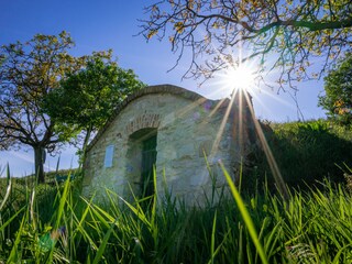 Vakantieappartement Mörbisch am See Omgeving 31