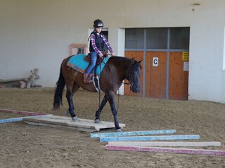 Appartamento per vacanze Mörbisch am See Ambiente 35