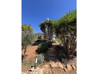 Tenuta Santanyi Registrazione all'aperto 6