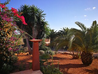 Finca Santanyi Buitenaudio-opname 8