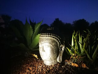Finca Santanyi Buitenaudio-opname 11