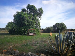 Finca Santanyi Omgeving 19