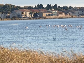 Holiday house Gruissan Environment 24