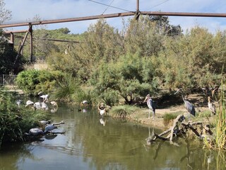 Ferienhaus Gruissan Umgebung 27