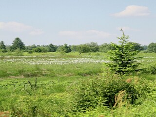 Vakantiehuis Waimes Omgeving 38