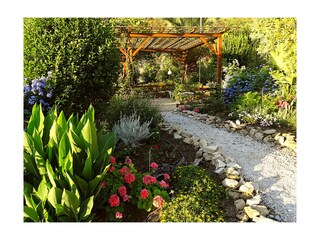Front garden