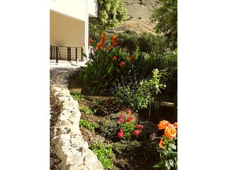 Front garden