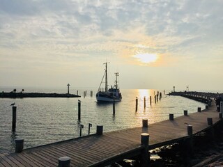 Casa per le vacanze Lübberstorf Ambiente 37