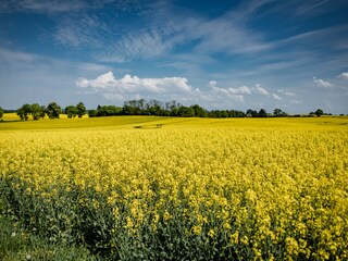 Casa per le vacanze Lübberstorf Ambiente 30