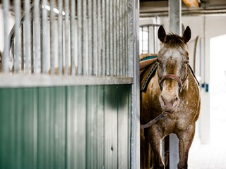 Casa per le vacanze Lübberstorf Registrazione all'aperto 13