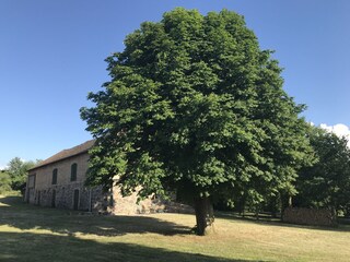 Casa per le vacanze Lübberstorf Registrazione all'aperto 9