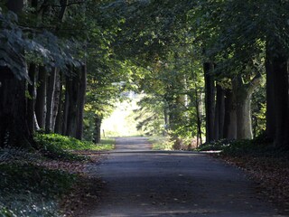 Walks in the neighborhood