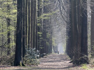 Hiking in Bulskampveld park