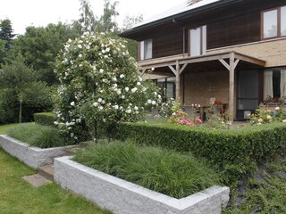 terrace and rose garden at the back of the house