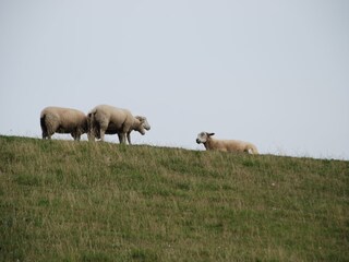 Casa de vacaciones Burhave Entorno 19