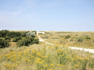 Dünengebiet