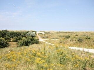 Villa Buren Environment 15