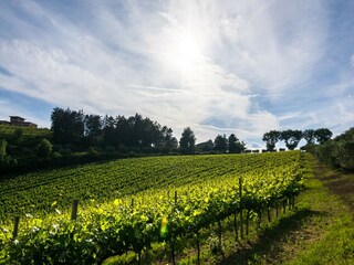 Casa de campo Solfagnano Entorno 28