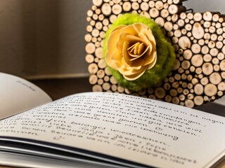 Appartamento per vacanze St. Ulrich in Gröden Registrazione all'aperto 10