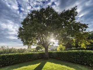 Villa Vrsar Registrazione all'aperto 8