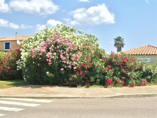 Casa per le vacanze Gruissan Registrazione all'aperto 17