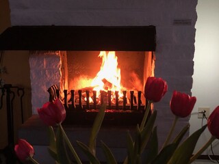 Vakantiehuis De Cocksdorp Kenmerken 17