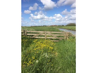 Vakantiehuis De Cocksdorp Omgeving 22