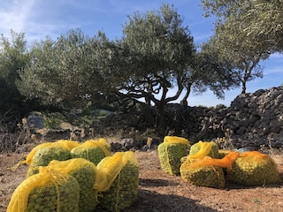 Casa per le vacanze Sutivan Ambiente 37