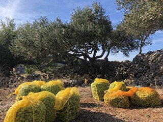Casa per le vacanze Sutivan Ambiente 38