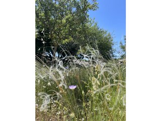 Casa per le vacanze Sutivan Registrazione all'aperto 18