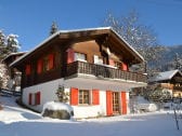 Chalet Schützhütte im Winter