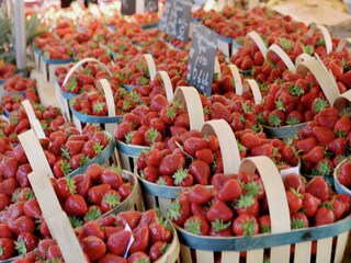 Casa vacanze Carpentras  21