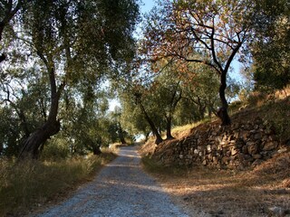 Appartamento per vacanze Imperia Ambiente 18