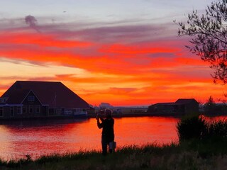 Sonnenuntergang im Park