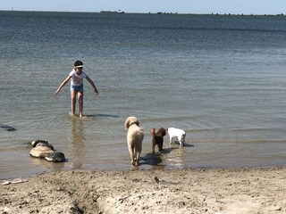 Hundebadestelle am Strand von Lemmer