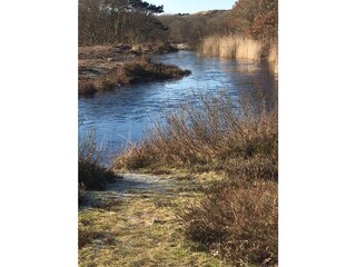 Appartamento Egmond aan Zee Ambiente 25