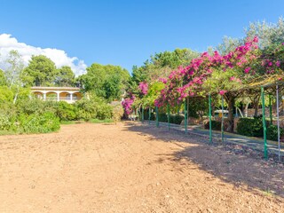 Villa Sant Jordi Registrazione all'aperto 9