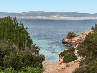 Villa Arenal Ambiente 22