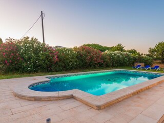 Finca Inca Buitenaudio-opname 17