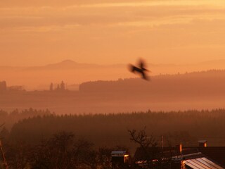 Bed & Breakfast Donaueschingen Omgeving 33