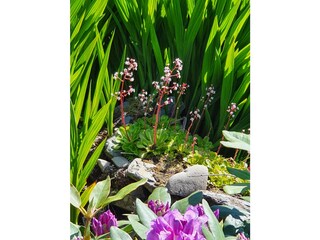 Viele natürliche Details...