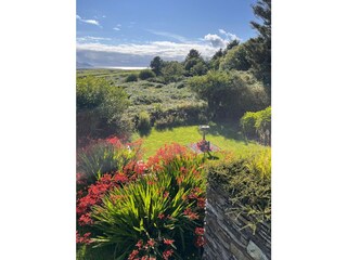 Liegewiese mit Vogeltränke