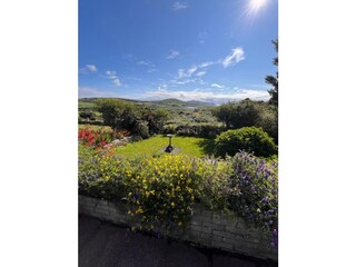 Blick über die Liegewiese