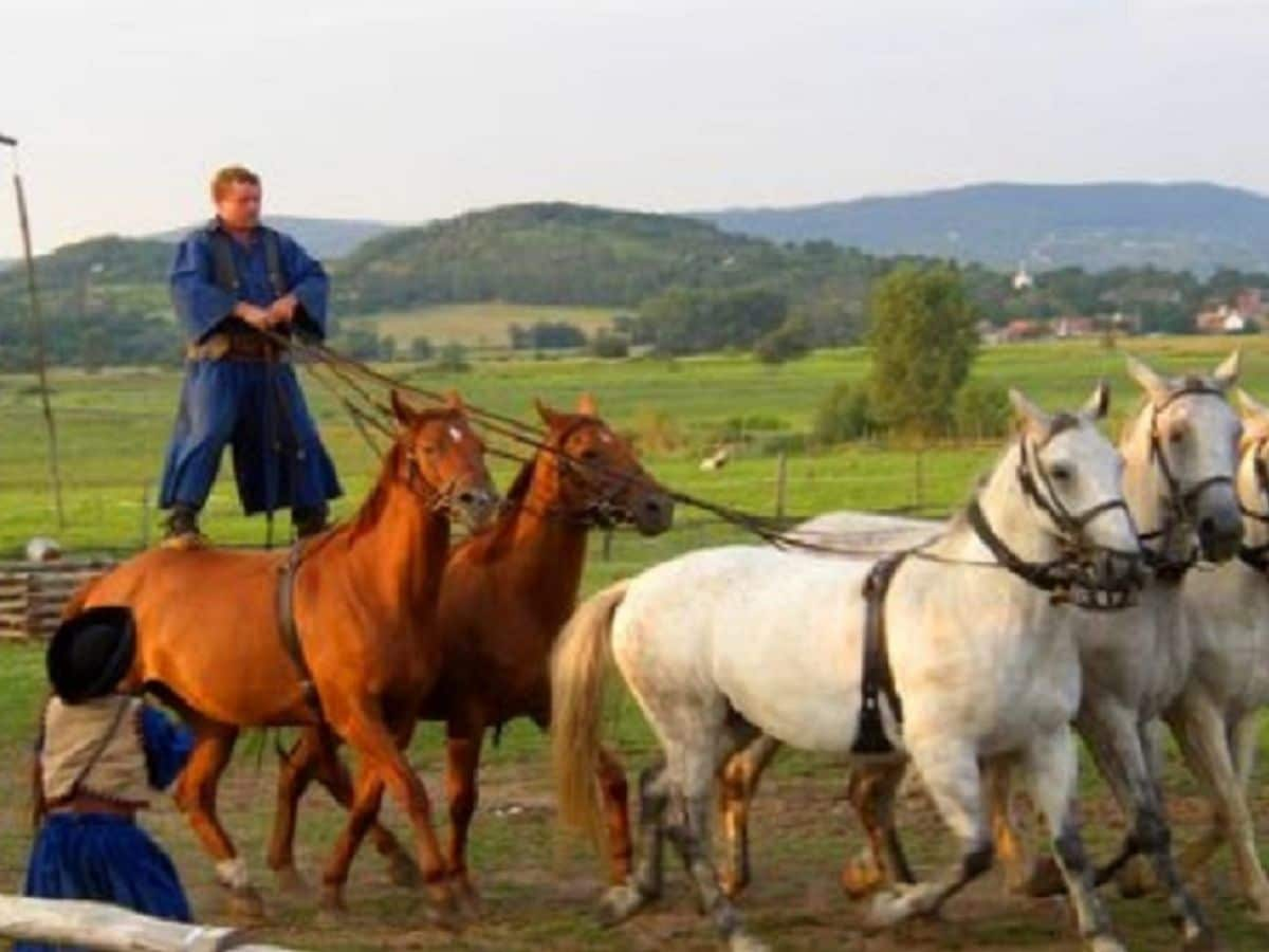 Reitvorführung in der Puszta