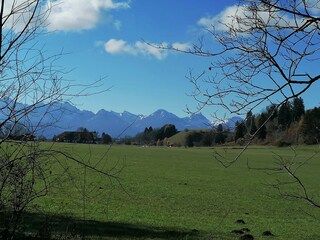 Appartamento per vacanze Halblech Ambiente 24