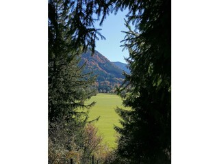 Apartamento de vacaciones Halblech Entorno 27