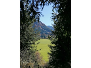 Appartement de vacances Halblech Environnement 26