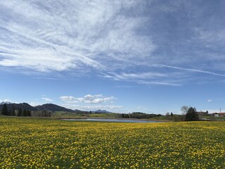 Appartamento per vacanze Halblech Ambiente 18