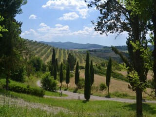 Holiday house Lajatico Environment 31